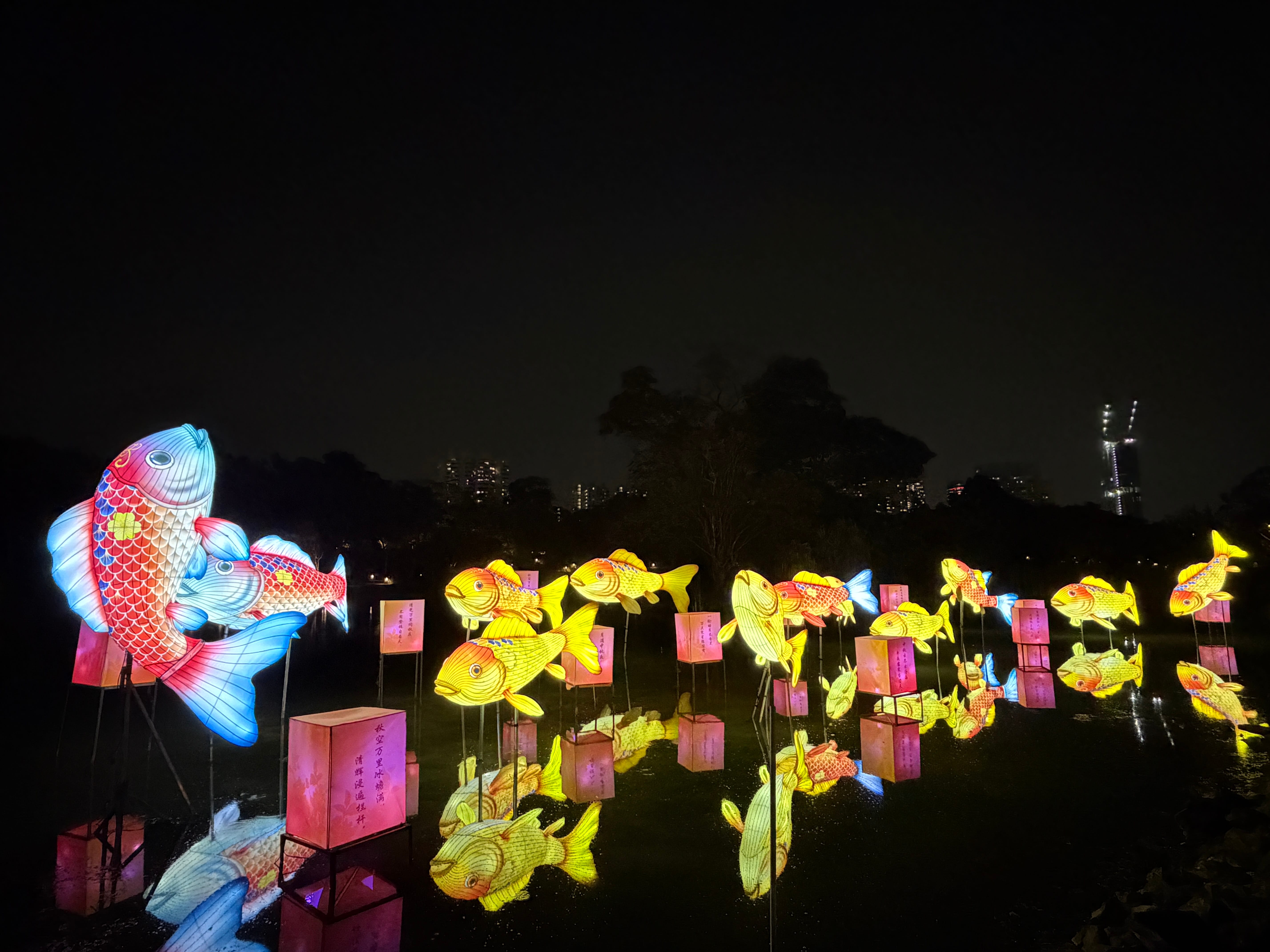 lantern display of colourful koi and floating lanterns above shimmering water